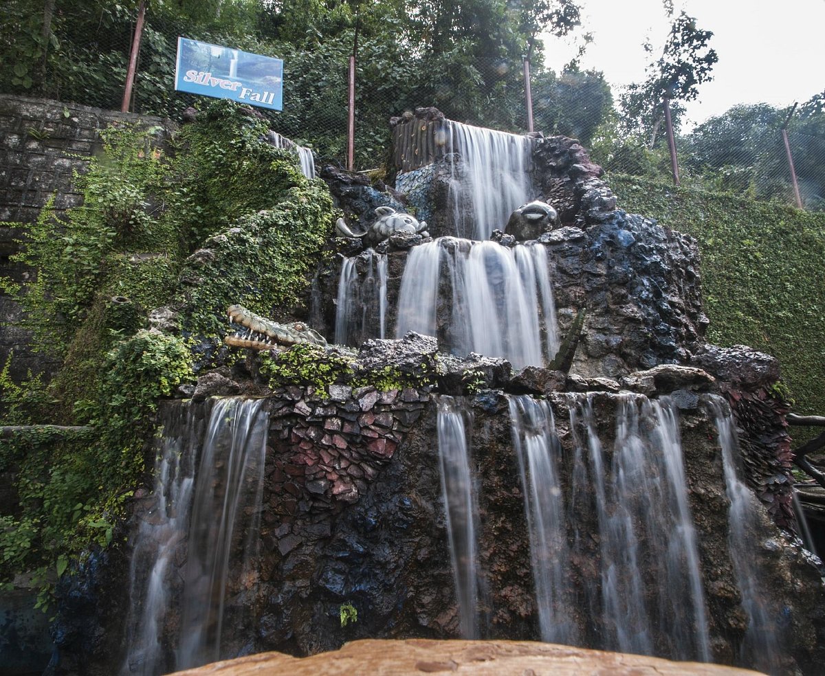 Culture in Dehradun
